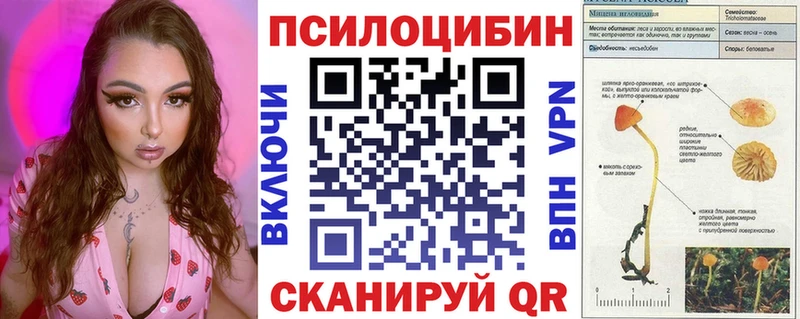 Галлюциногенные грибы мухоморы  где найти   Жиздра 